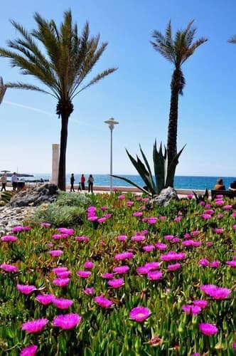 Imagen - Costa de Almeria