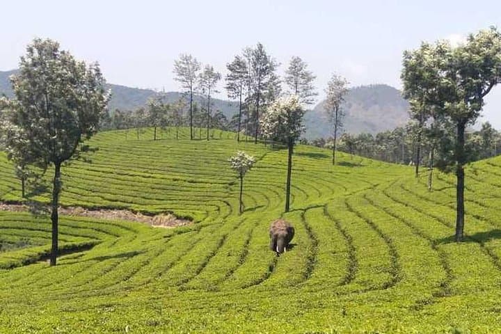 Imagen - Best of  Kerala