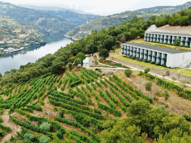 Image -  Douro Palace Hotel Resort and Spa ⭐⭐⭐⭐