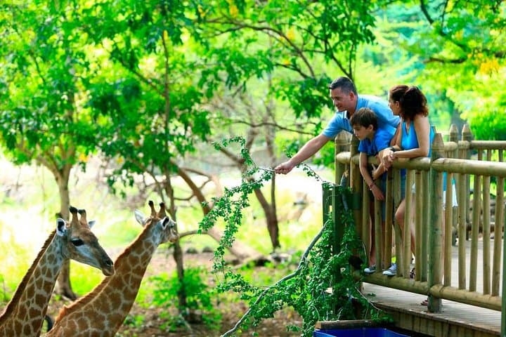 Imagine - Sejur cu familia Mauritius, 7 nopti