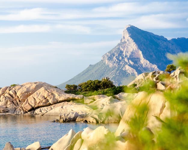 Immagine - Olbia