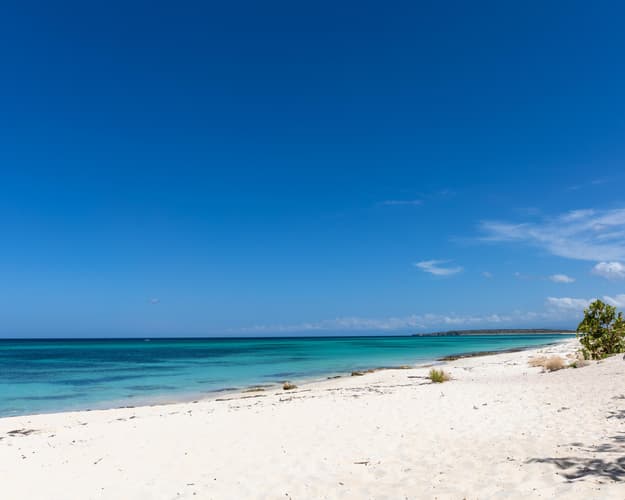 Imagen -  Punta Cana con Crucero Costa - 22 de Enero