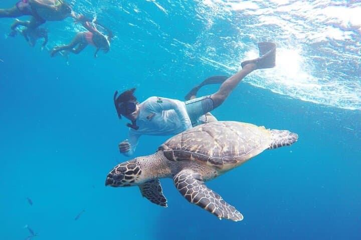 Imagen - 🌈VERANO en Occidental Cozumel- Tour Cielo- 2 ad y 2 mnr- T. incluido