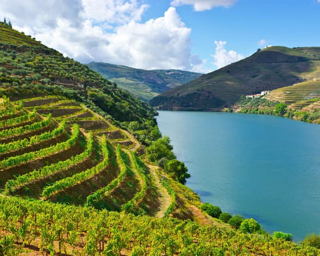 Imagen -  Feriado de Maio - Douro - Hotel 4*APA