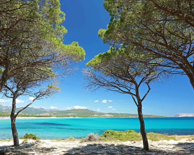 Image -  San Teodoro