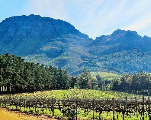 Image - Ihre Reise nach Südafrika