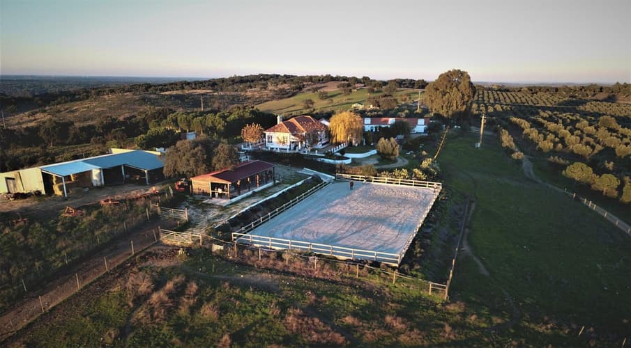 Imagem - Montargil - Monte de Portugal - Setembro