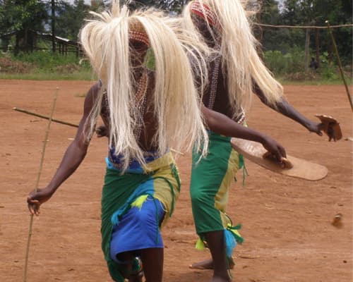 Imagen - C4102-Primates en Ruanda