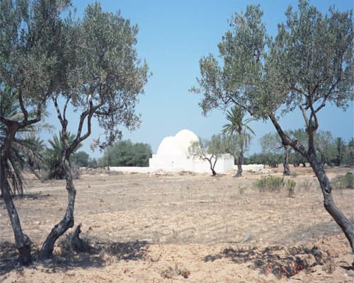 Immagine - Estancias en Isla de Djerba desde Lisboa y Oporto