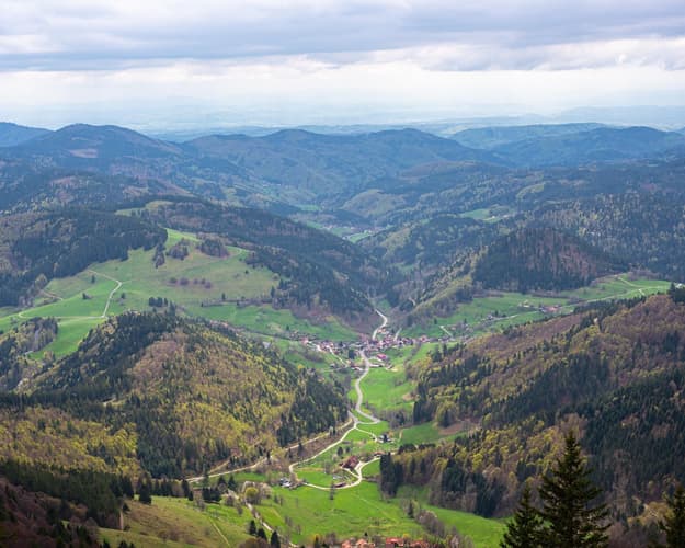 Image - Alsace and the Black Forest