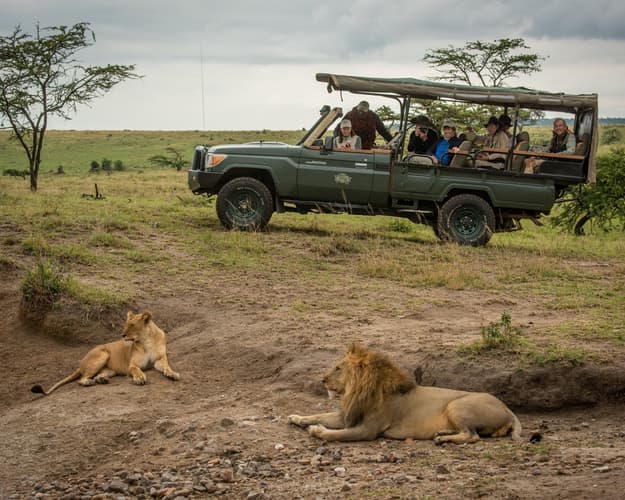 Imagen - 7 Days Ultimate Tanzania Safari Experience