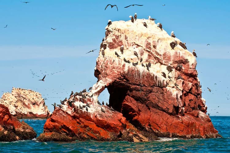 Image - Excursión a las Islas Ballestas / Paracas, Perú