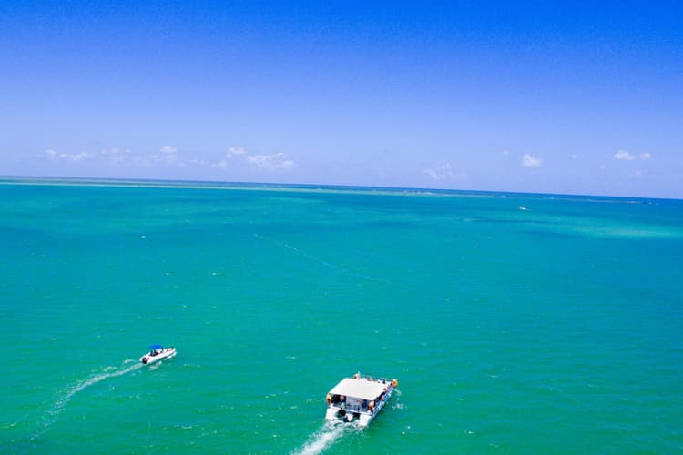 Imagen - Visita Porto de Galinhas con excursion a Maragogi - Hab. TPL
