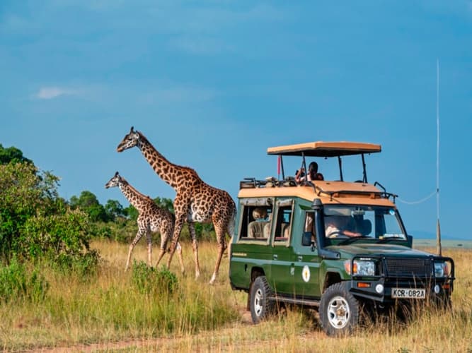 Image - Masai Mara Safari Verlängerung Mombasa