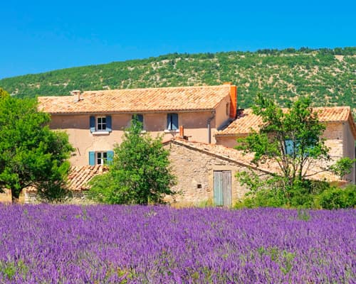 Image - Colors of Provence