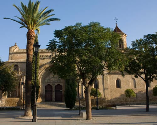 Imagen - Jaén, Tierra De Oro Líquido