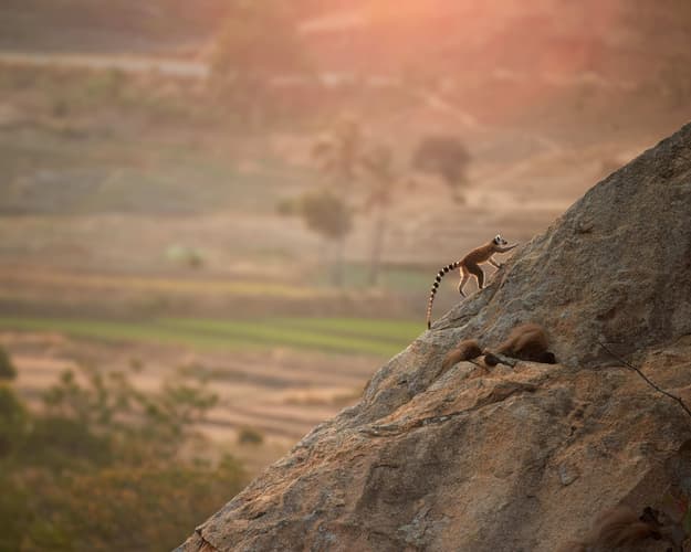 Image - Mietwagenrundreise: Kapstadt mit 4 Nationalparks