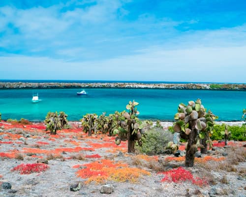 Imagen - The Galapagos Islands, Ecuador