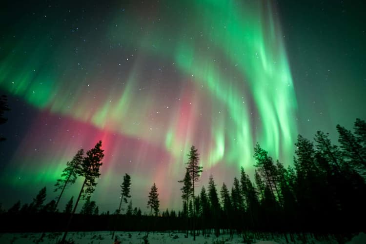 Immagine - Rovaniemi, Lapponia