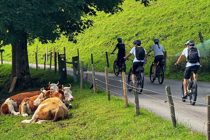 Image - Griesalp UNESCO Alpine E-Bike Adventure from Interlaken