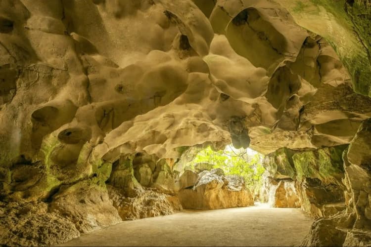 Imagen - Cuevas del Pomier, Ingenios Azucareros y Faro de Colón