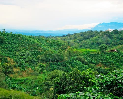 Imagen - Costa Rica: Del Atlántico al Pacífico