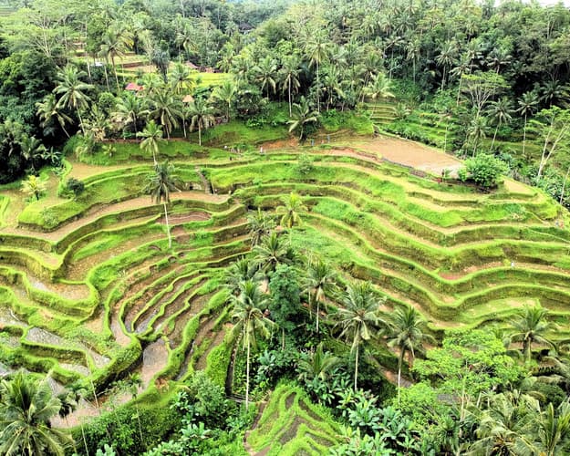 Beeld -  Maak kennis met Bali & Nusa Penida 