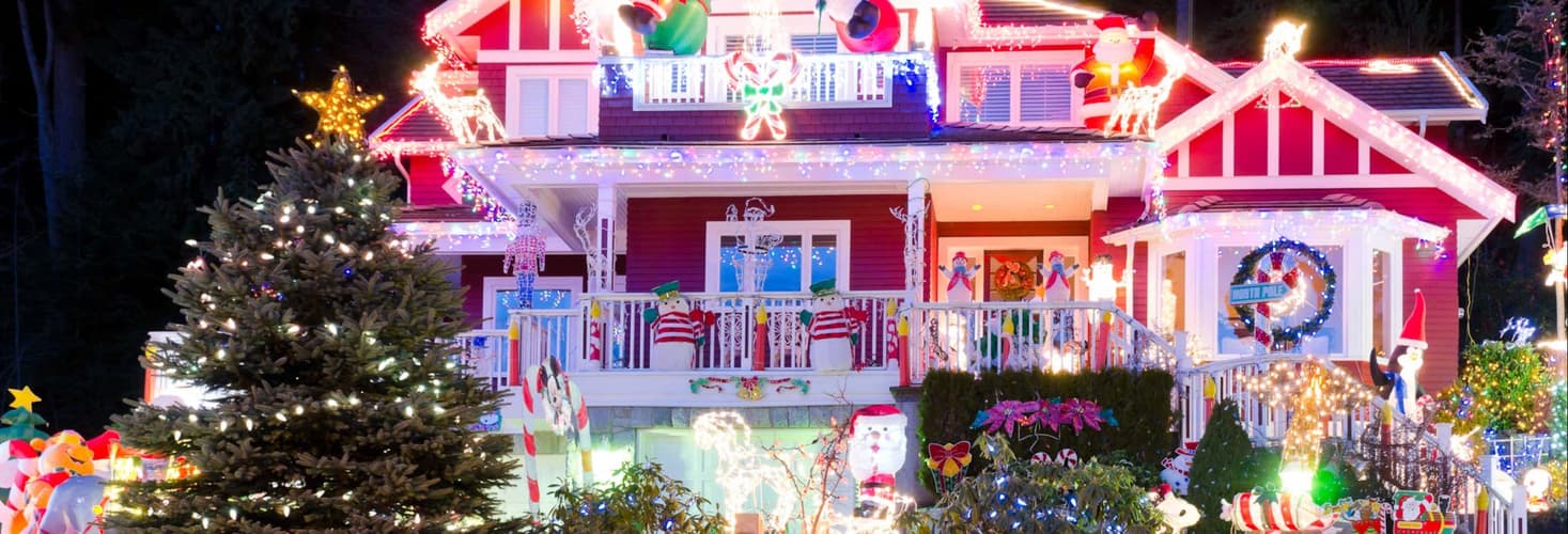 Immagine - Tour delle luci di Natale di Dyker Heights con guida italiana, New York