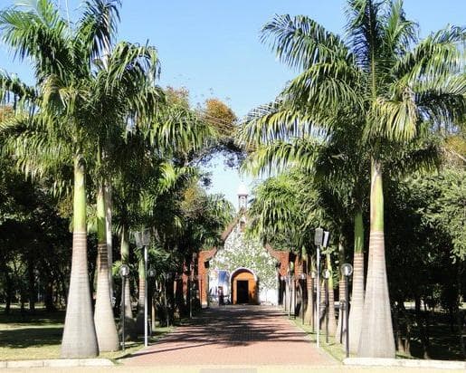 Irudia - Brasil-Minas Gerais-Partida de Lisboa