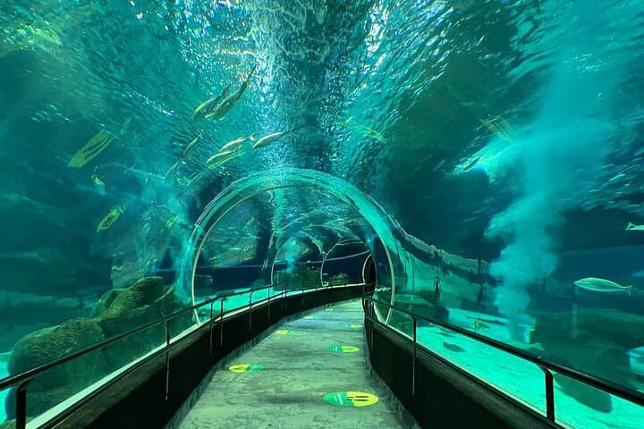 Bild - Río de Janeiro con tours Estadio y acuario