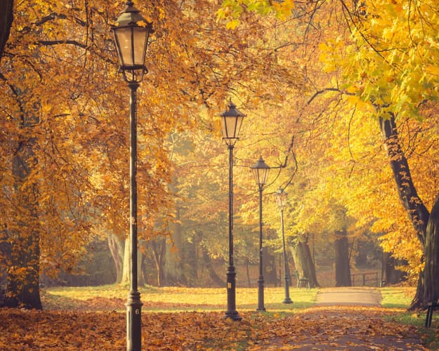 Image - Cracovia da Olbia con trasferimenti e 3 escursioni Città , Campi di concentramento e Miniera di Sale 