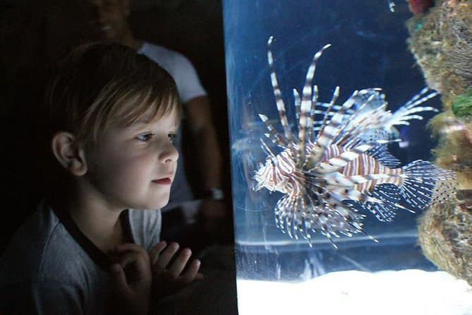 Image - Buenos Aires family plan: 02 noches + Temaiken