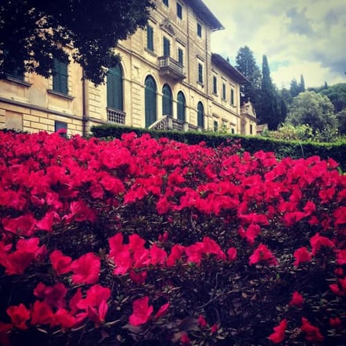 Immagine - Visita alla Tenuta Bossi dei Marchesi Gondi con 3 degustazioni di vino, Firenze 