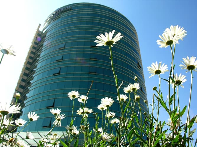 Image - Hotel en La Paz l Suites Camino Real 5*