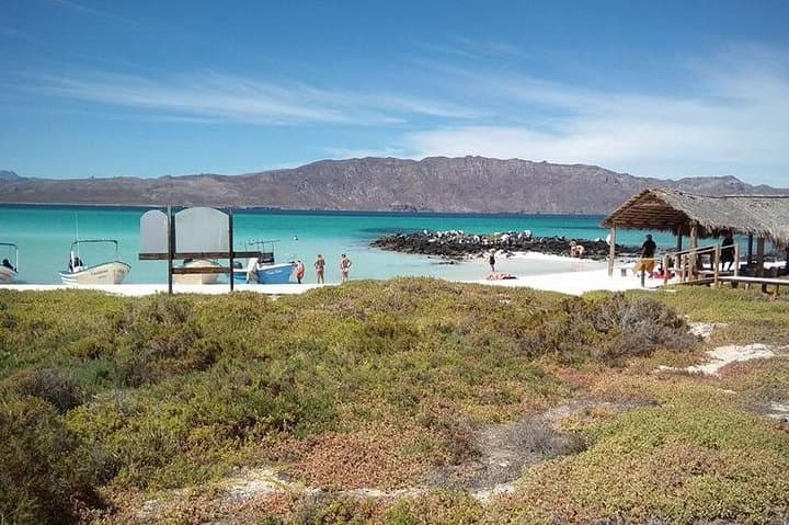 Image - LORETO EN PAREJA CON TOUR A ISLA CORONADOS