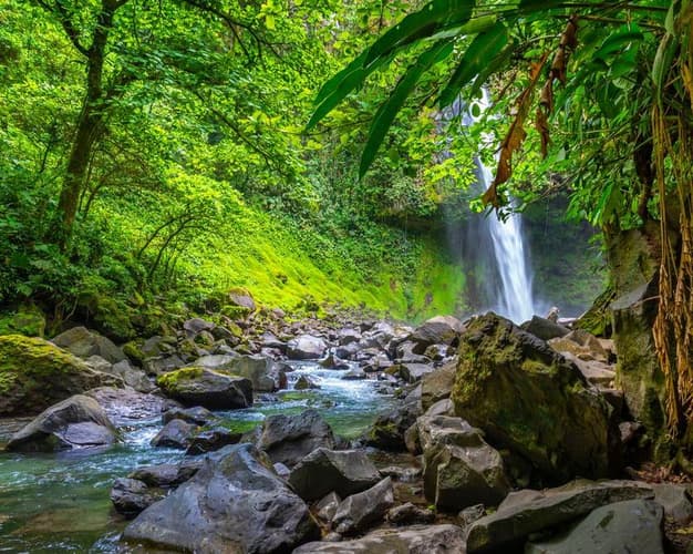 Imagen - Parques Nacionales de Costa Rica con Manuel Antonio – Fly & Drive