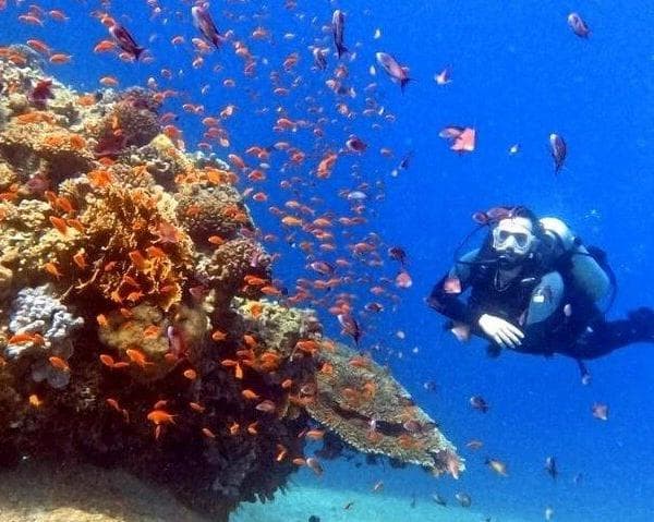 Kuva - 4 Days. 5* Hyatt Regency Aqaba Ayla Resort  (BB)