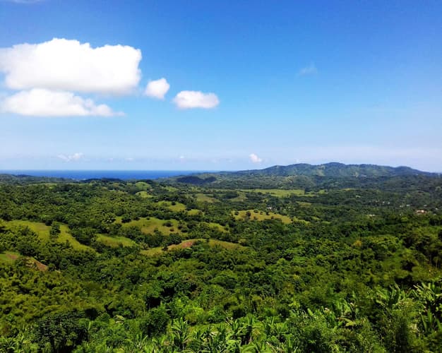 Image - Grand Palladium Jamaica Todo incluido 