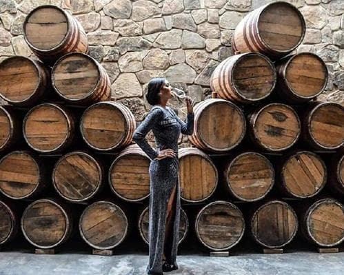 Imagen - Tarija l Ruta del Vino y Singani - Bodegas Industriales