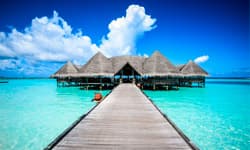 Imagen - Maldivas - Hotel Riu Palace Maldives