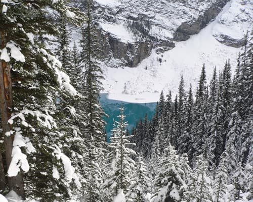 Image - 4* Fairmont Chateau Lake Louise, Canada