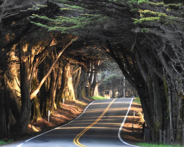 Image - 3* Cottages at Little River Cove Mendocino CA, United States of America