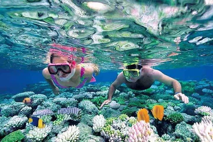 Imagen - Mamá es primero: te regalamos TOUR A ISLA MUJERES con almuerzo 
