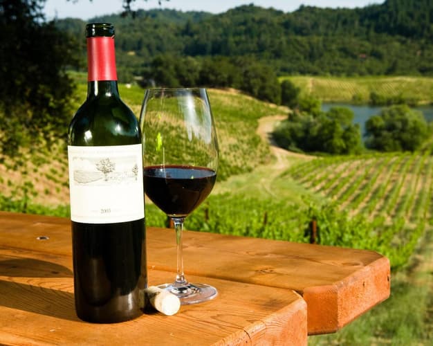Image - Ruta del Vino y Singani entre Viñedos Premium | Tarija