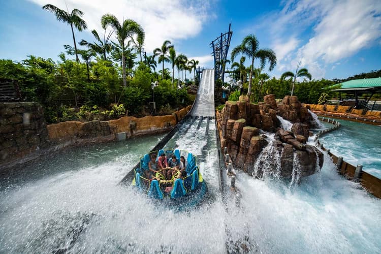 Image - Descubre el Parque SEAWORLD Y BUSCH GARDENS en Orlando