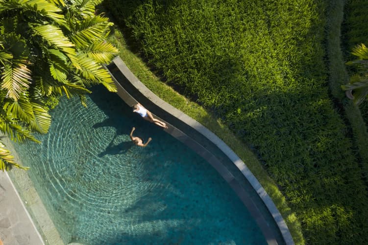 Bild - From the beaches of Nusa Dua to the lush heart of Ubud