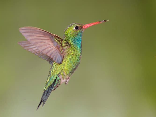 Imagen - Entrada al Parque de las Aves