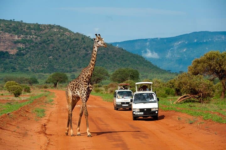 Imagine - Sejur plaja Diani Beach & safari Tsavo Est, Kenya - 21 august 2026