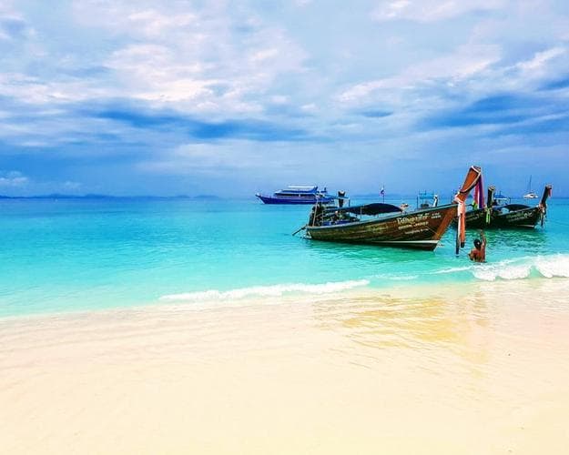 Bild - Bangkok & All Inklusive auf Phuket mit Elefantenbegegnung