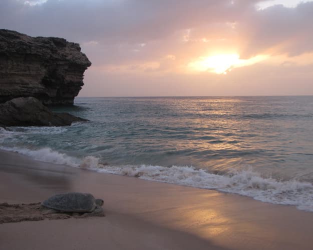 Imagen - AVENTURA DE OMAN 8DS 2027/2028